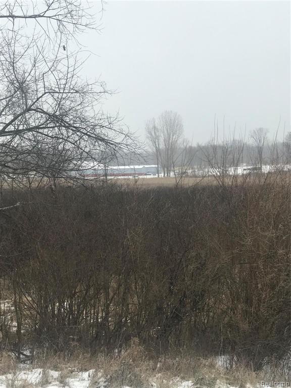 Vl Hinchey Road Pinckney, MI 48169 - Photo 2 of 5