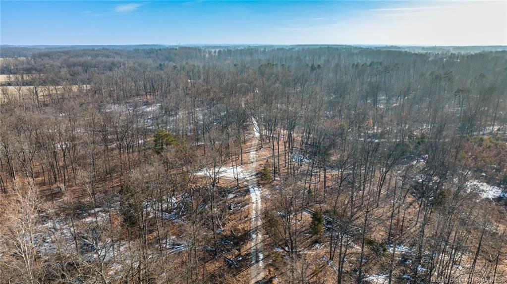 10102 Forest View Road Campbellsburg, IN 47108 - Photo 11 of 11 Gallery Image 11