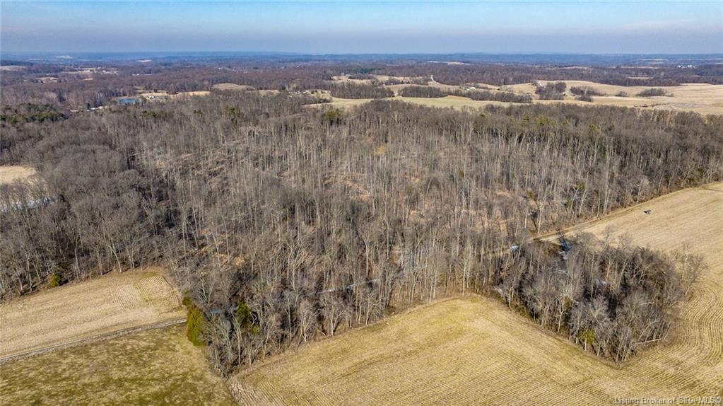10102 Forest View Road Campbellsburg, IN 47108 - Photo 4 of 11 Gallery Image 4
