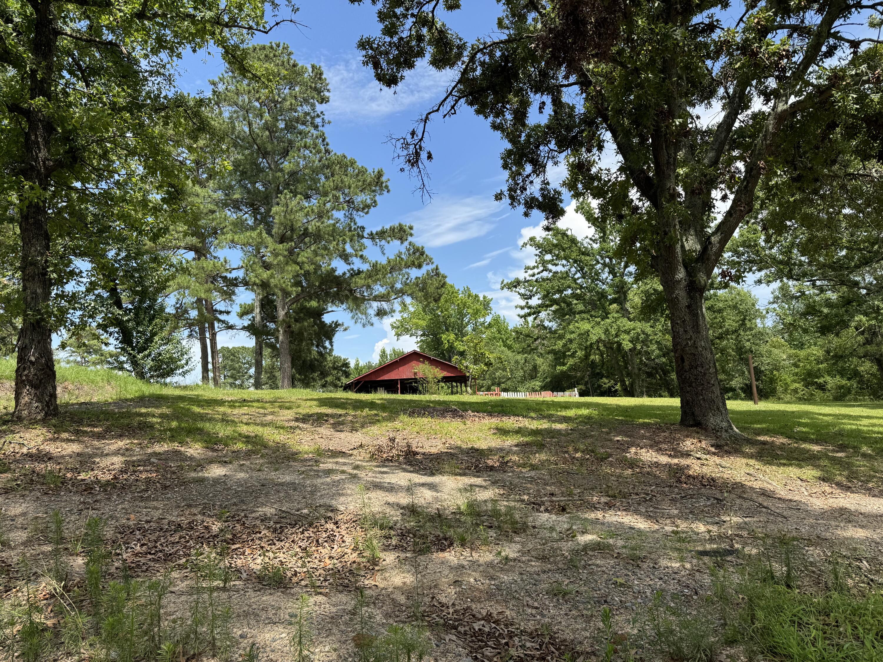451 Randall Road North Augusta, SC 29860 - Photo 7 of 7