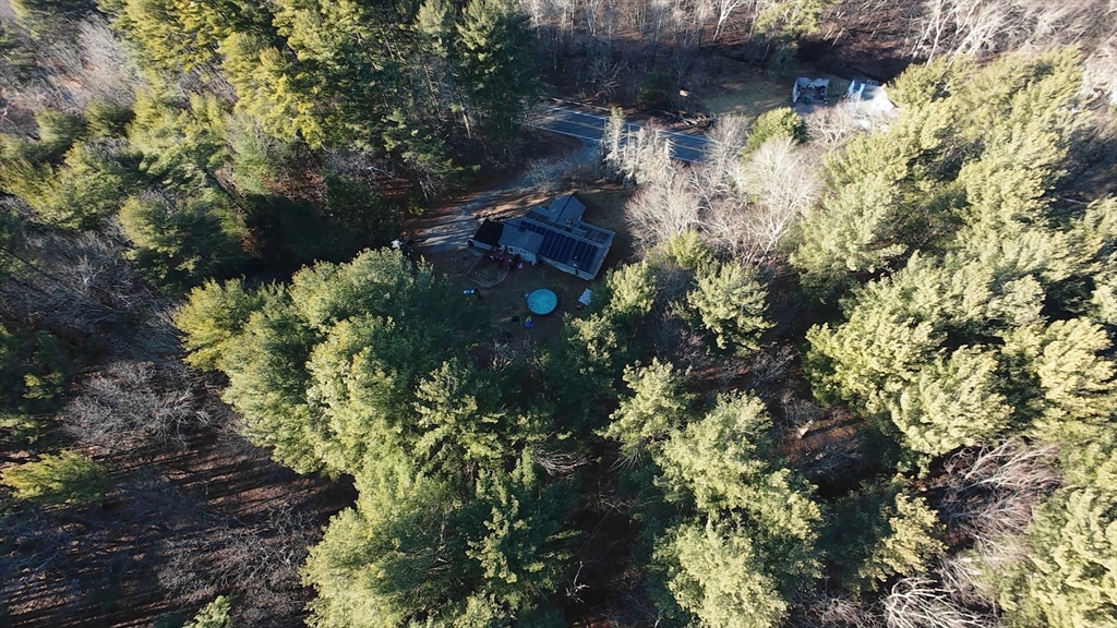 389 West Main Street Dudley, MA 01571 - Photo 6 of 19 a picture of tree