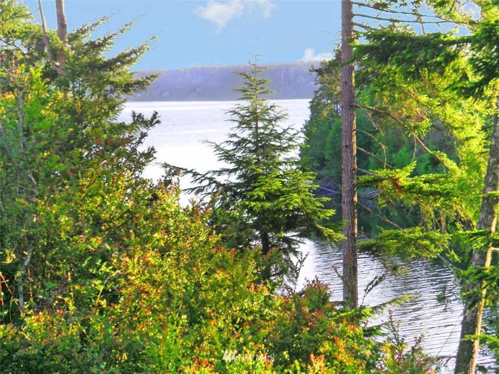 2 East Robbins Road Grapeview, WA 98546 - Photo 2 of 10 Gallery Image 2