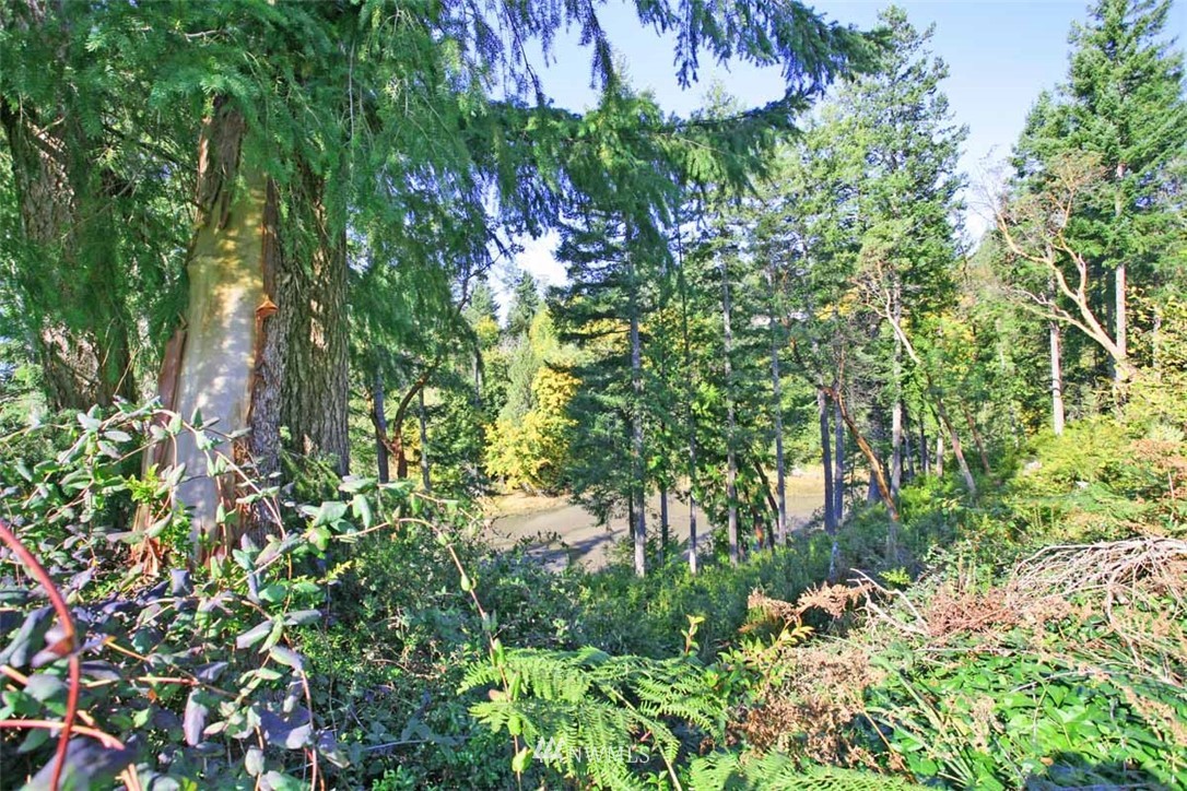 2 East Robbins Road Grapeview, WA 98546 - Photo 4 of 10 Gallery Image 4