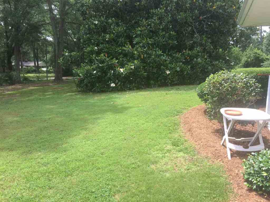 105 Lewis Road Clemson, SC 29631 - Photo 20 of 21 Gallery Image 20