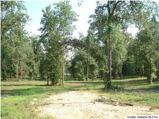 Armstrong Road, Unit 4 Cedar Bluff, AL 35959 - Photo 2 of 7