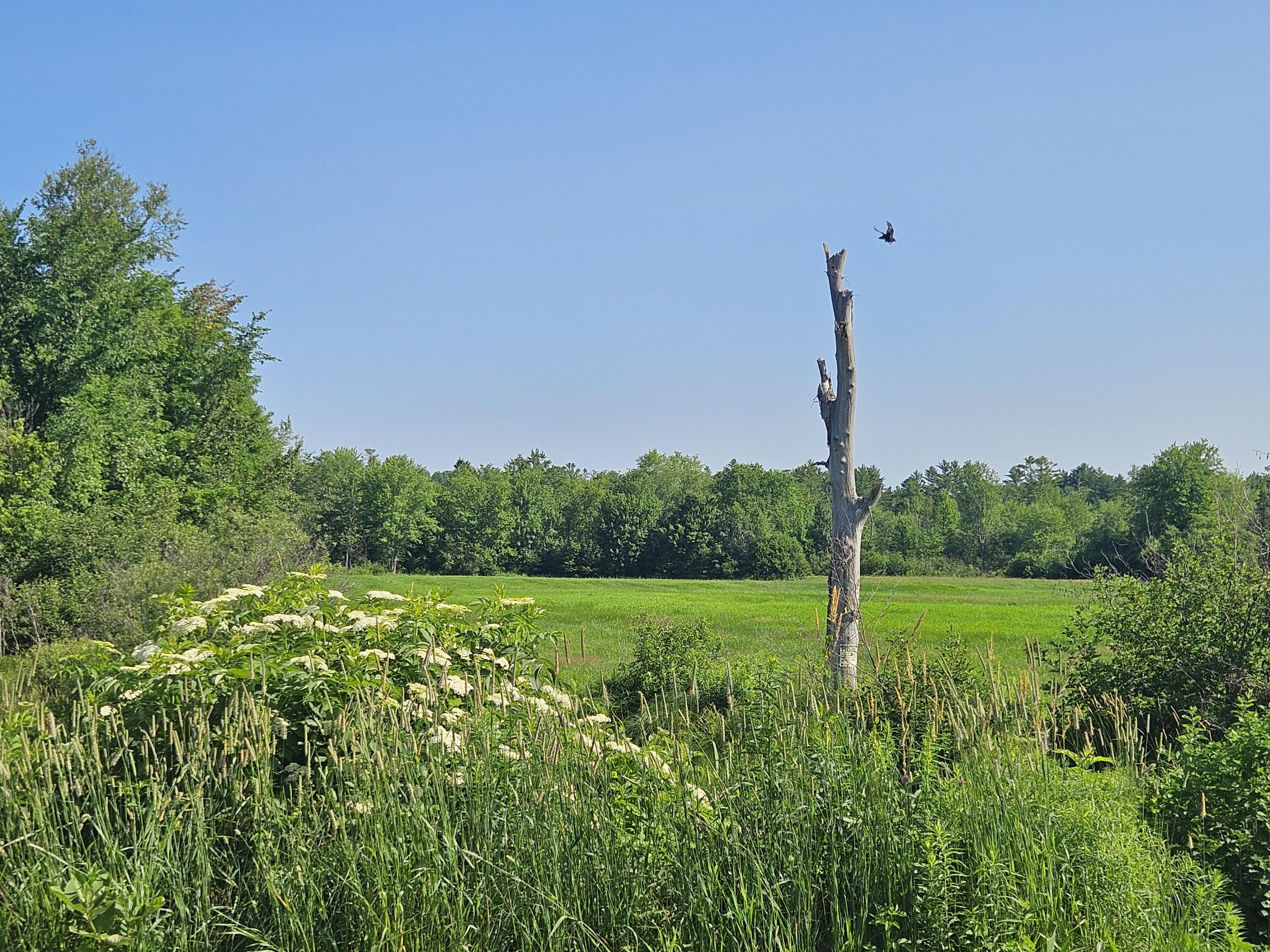 Lot 8-9 Lakeview Road Milo, ME 04463 - Photo 22 of 26 1000016417