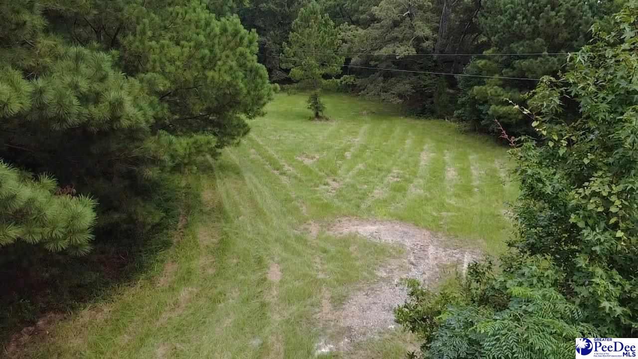 Tbd East Tbd E Friendfield Road Coward, SC 29530 - Photo 10 of 29 Gallery Image 10