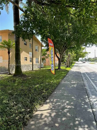 a view of a park with large trees