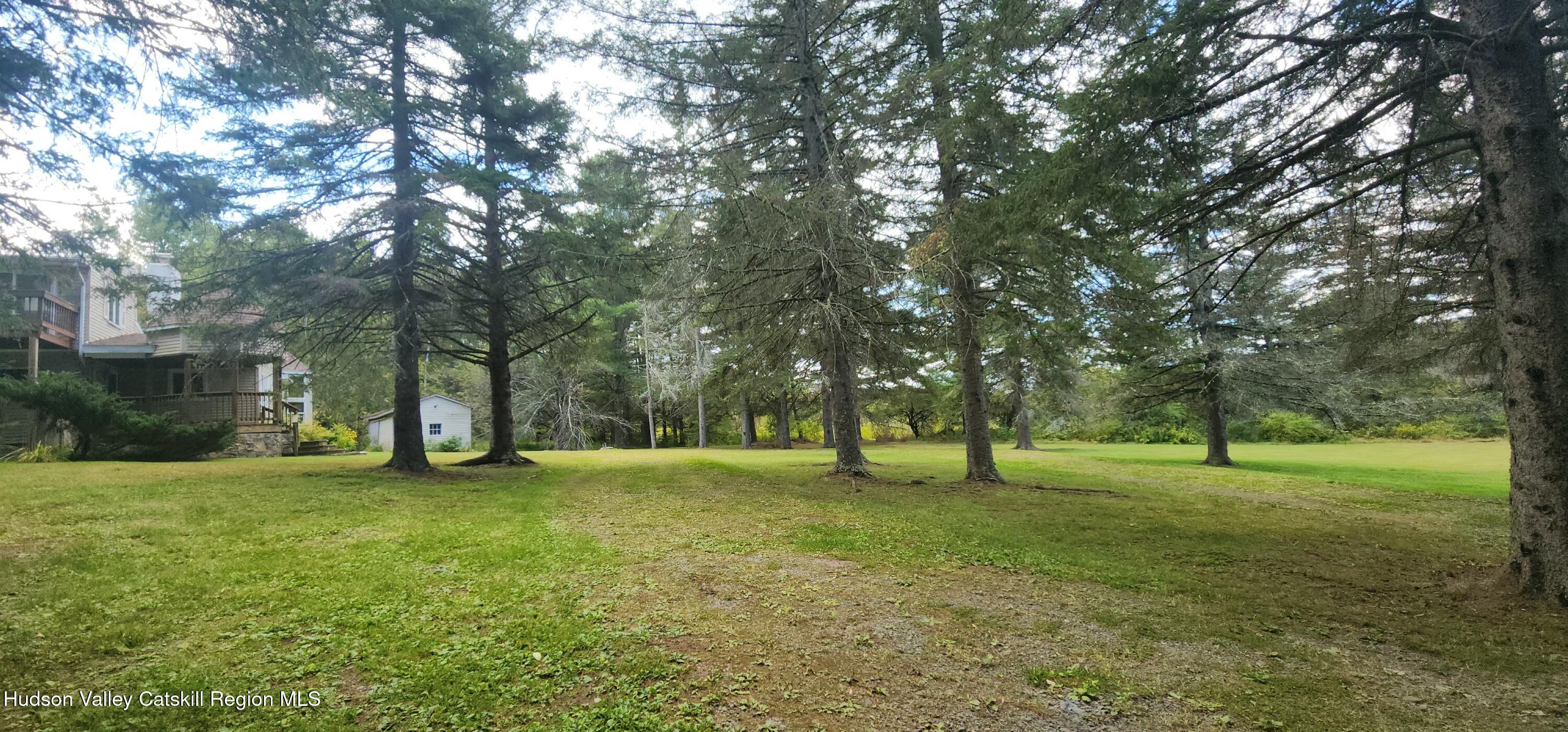 436 Big Hollow Road Maplecrest, NY 12454 - Photo 22 of 31 436 land