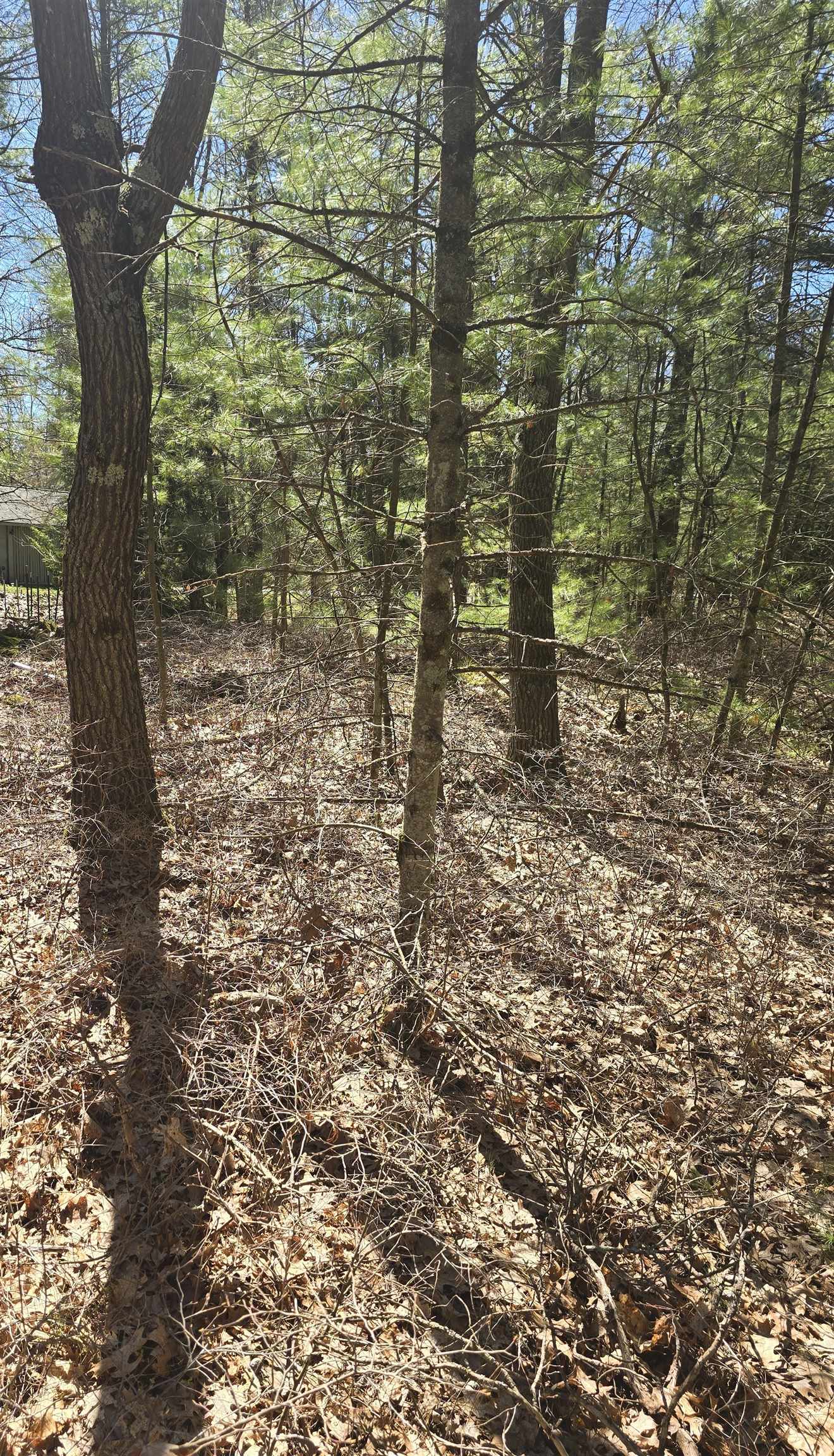 4699 Johnson Road Oscoda, MI 48750 - Photo 5 of 5 1947652-5cddd12f-1b17-4fa9-82dc-61de6ec477d1.JPG