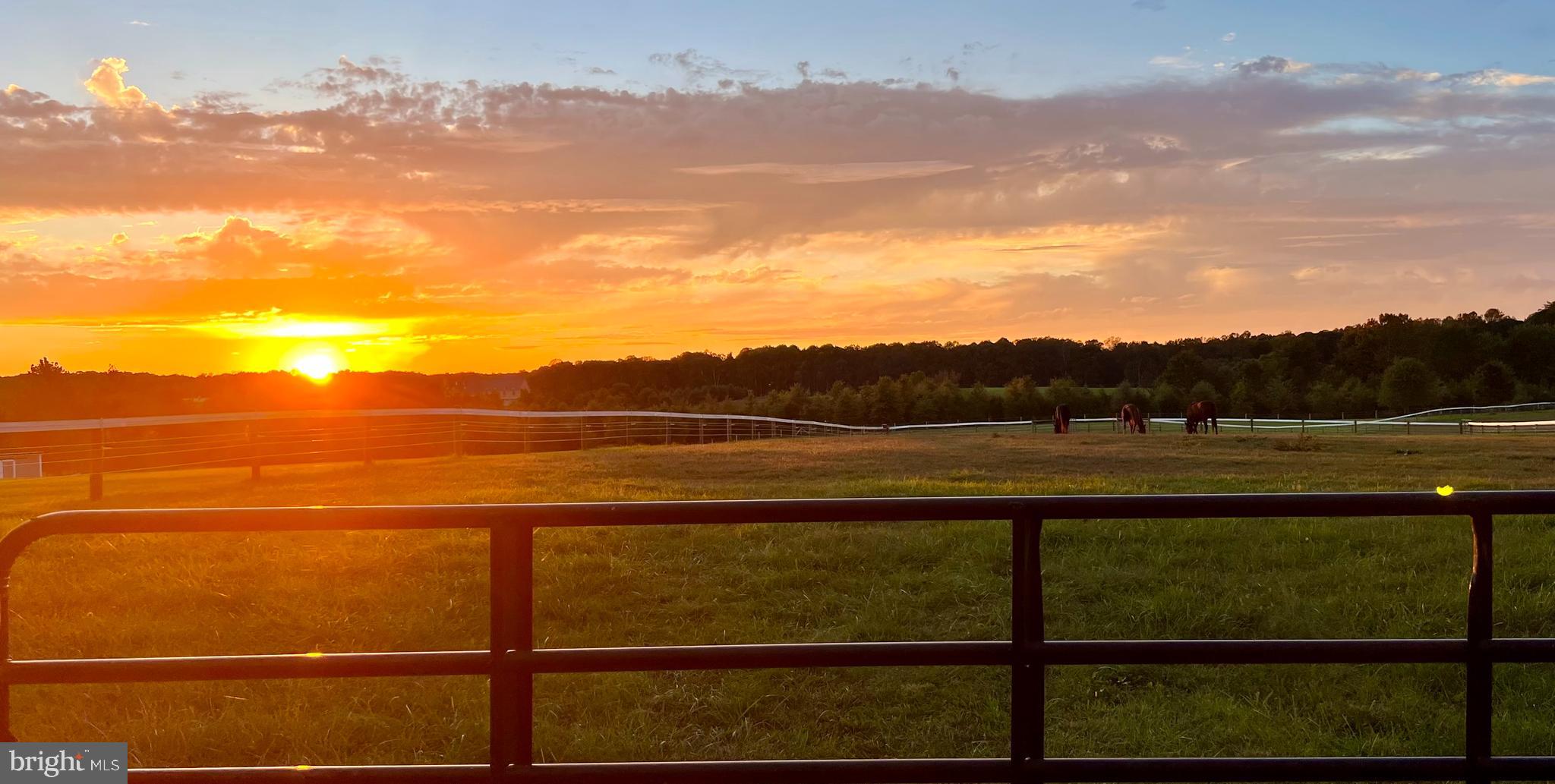 13615 Union Church Road Sumerduck, VA 22742 - Photo 36 of 37 Stunning views from end of the driveway!