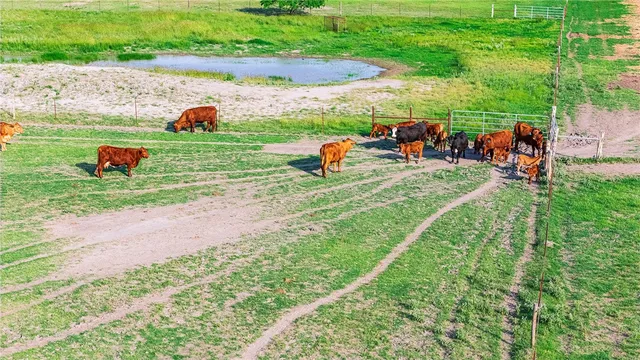 a backyard of a house with lots of green space and ocean view