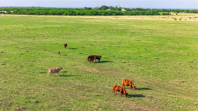 a view of a street with a yard