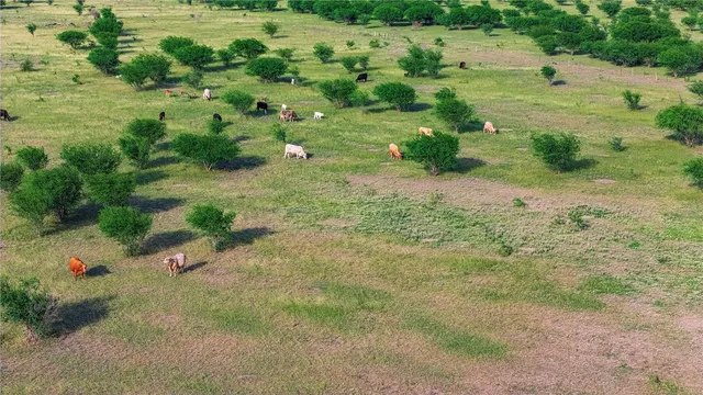 a view of an ocean an ocean view