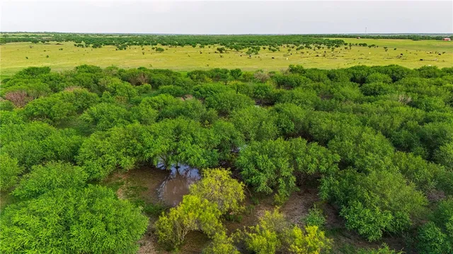 a front view of house with a garden