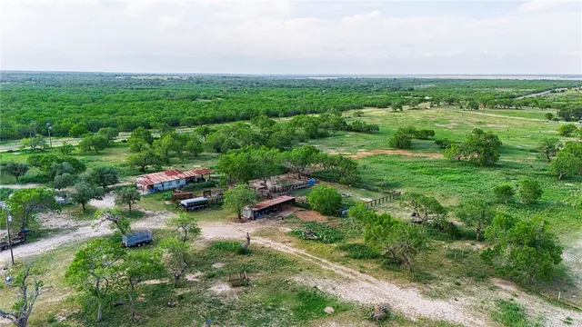 a view of a field with plants and large trees