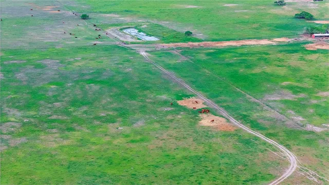 a view of a field with an ocean