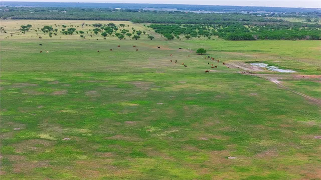 a view of a field with an ocean