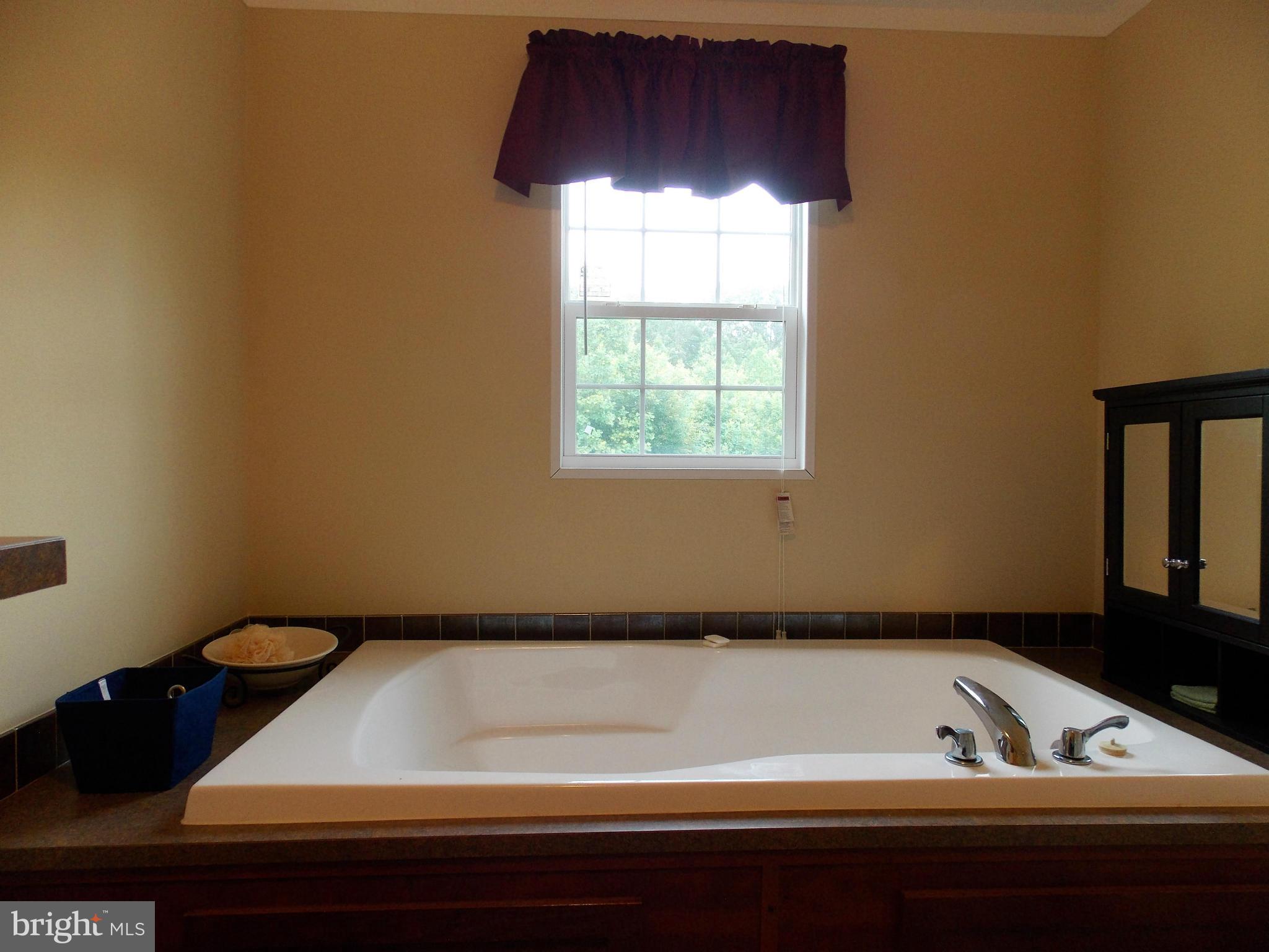 7655 Morris Road Spotsylvania, VA 22551 - Photo 10 of 20 Bath (Master)