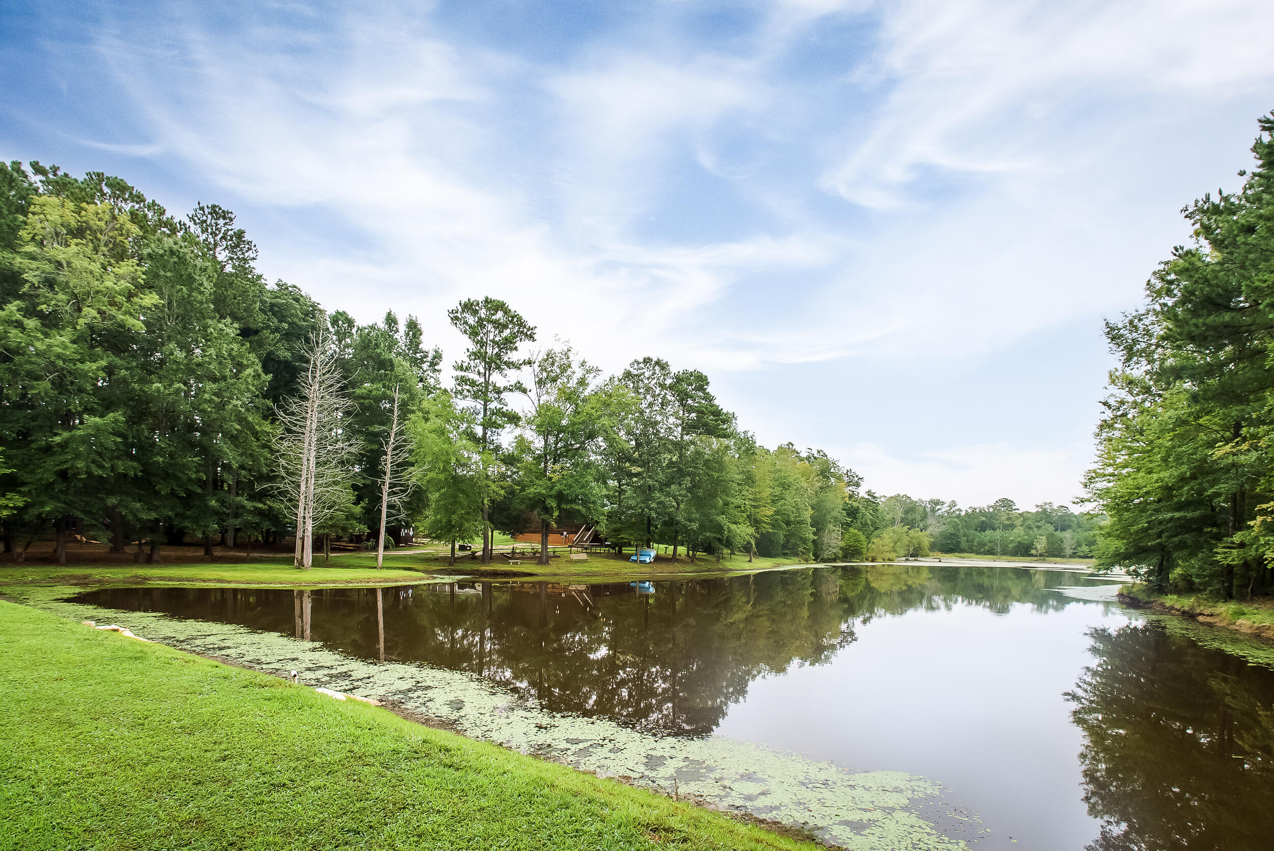 379 Plum Branch Road Edgefield, SC 29824 - Photo 25 of 29