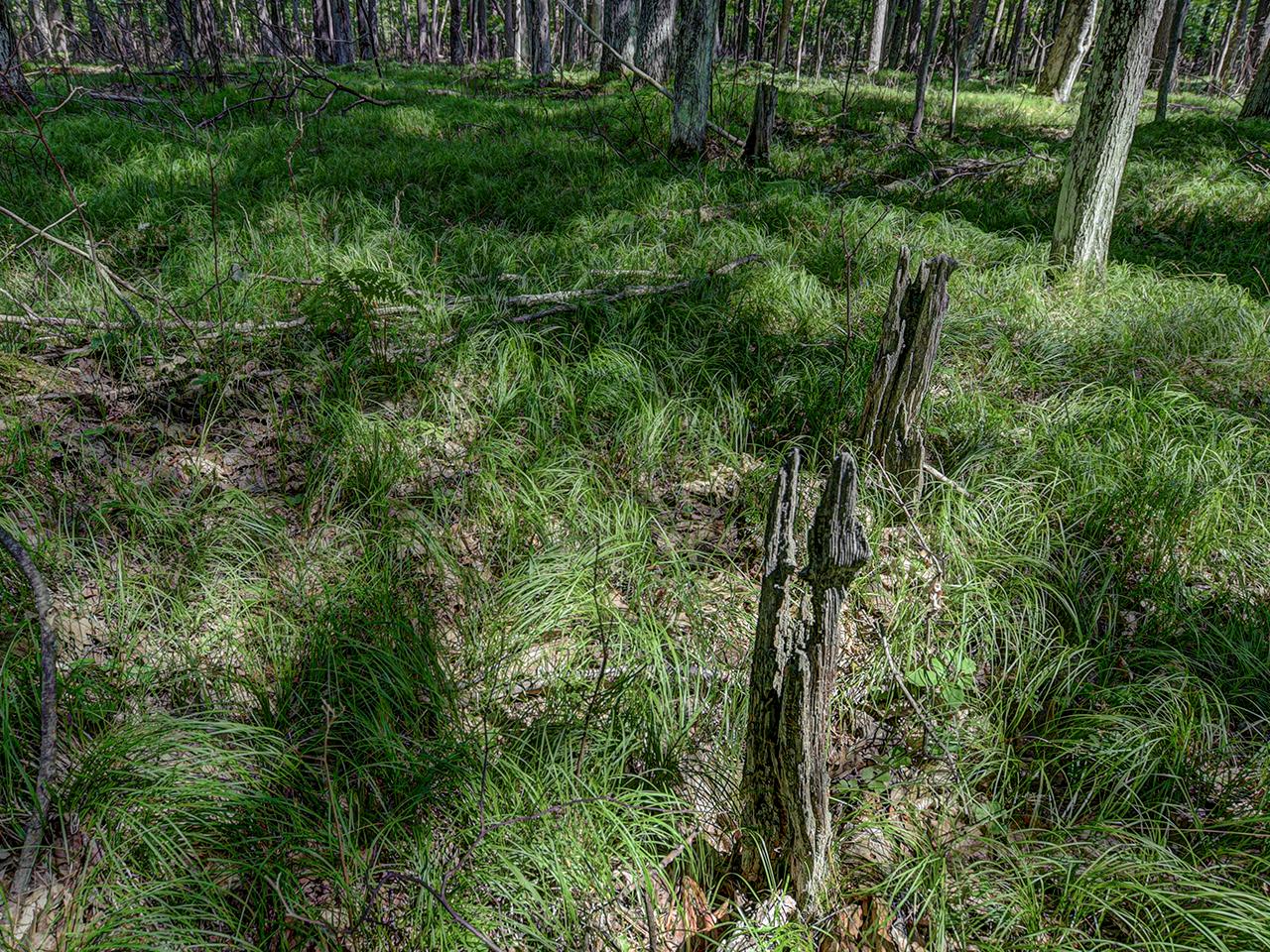On Blosser Road Woodruff, WI 54568 - Photo 12 of 15 Gallery Image 12