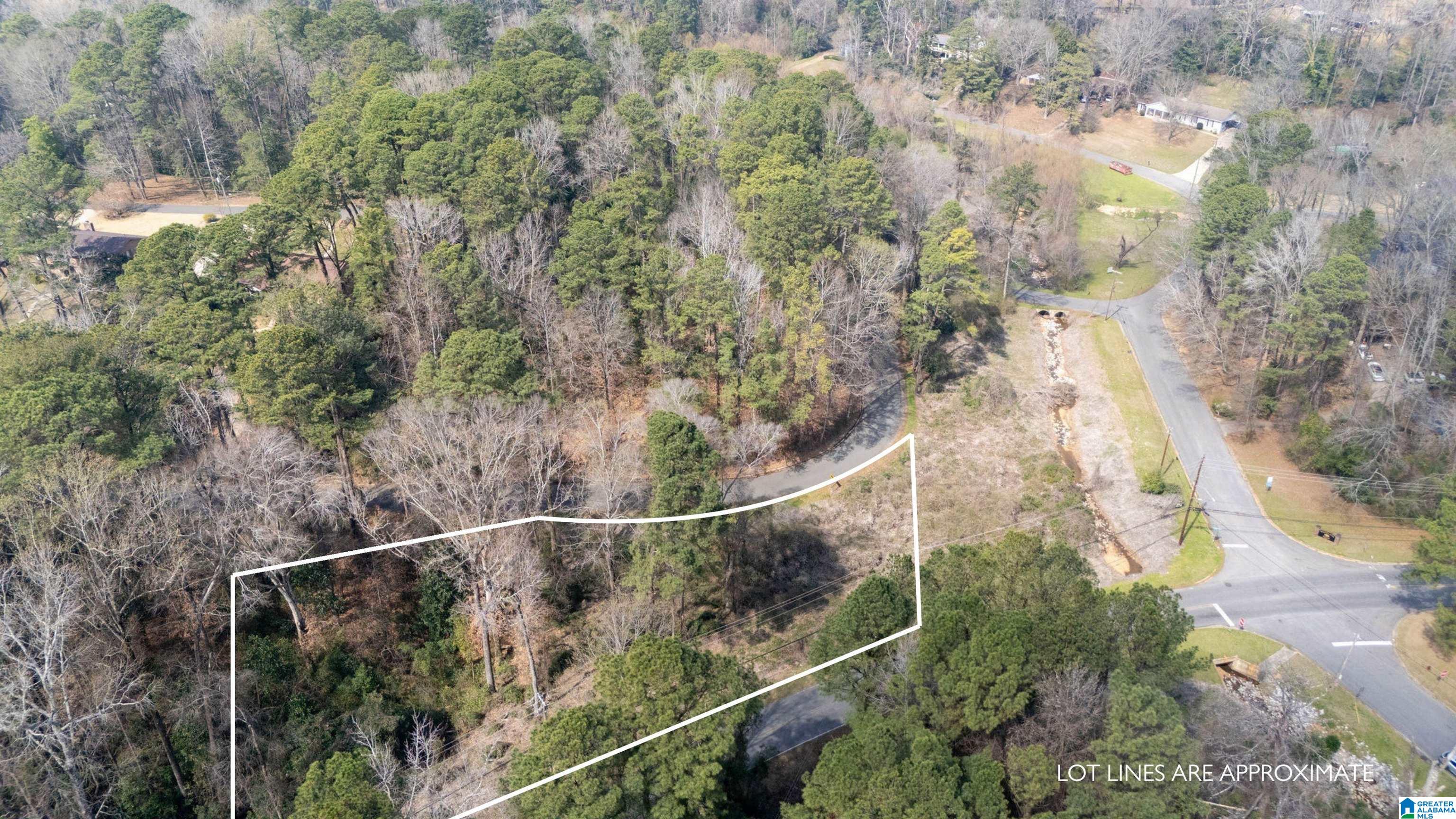 0 Woodland Road, Unit 1 Tuscaloosa, AL 35405 - Photo 2 of 16