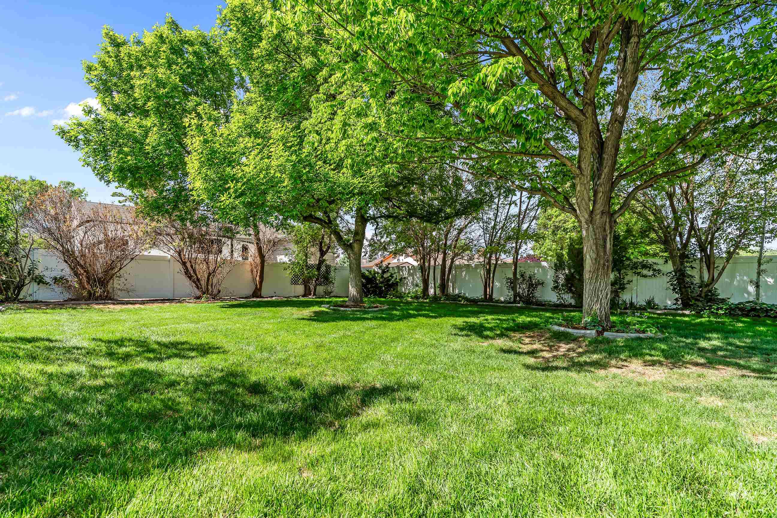705-24 24 3/4 Road Grand Junction, CO 81505 - Photo 25 of 27 a view of a backyard with large trees