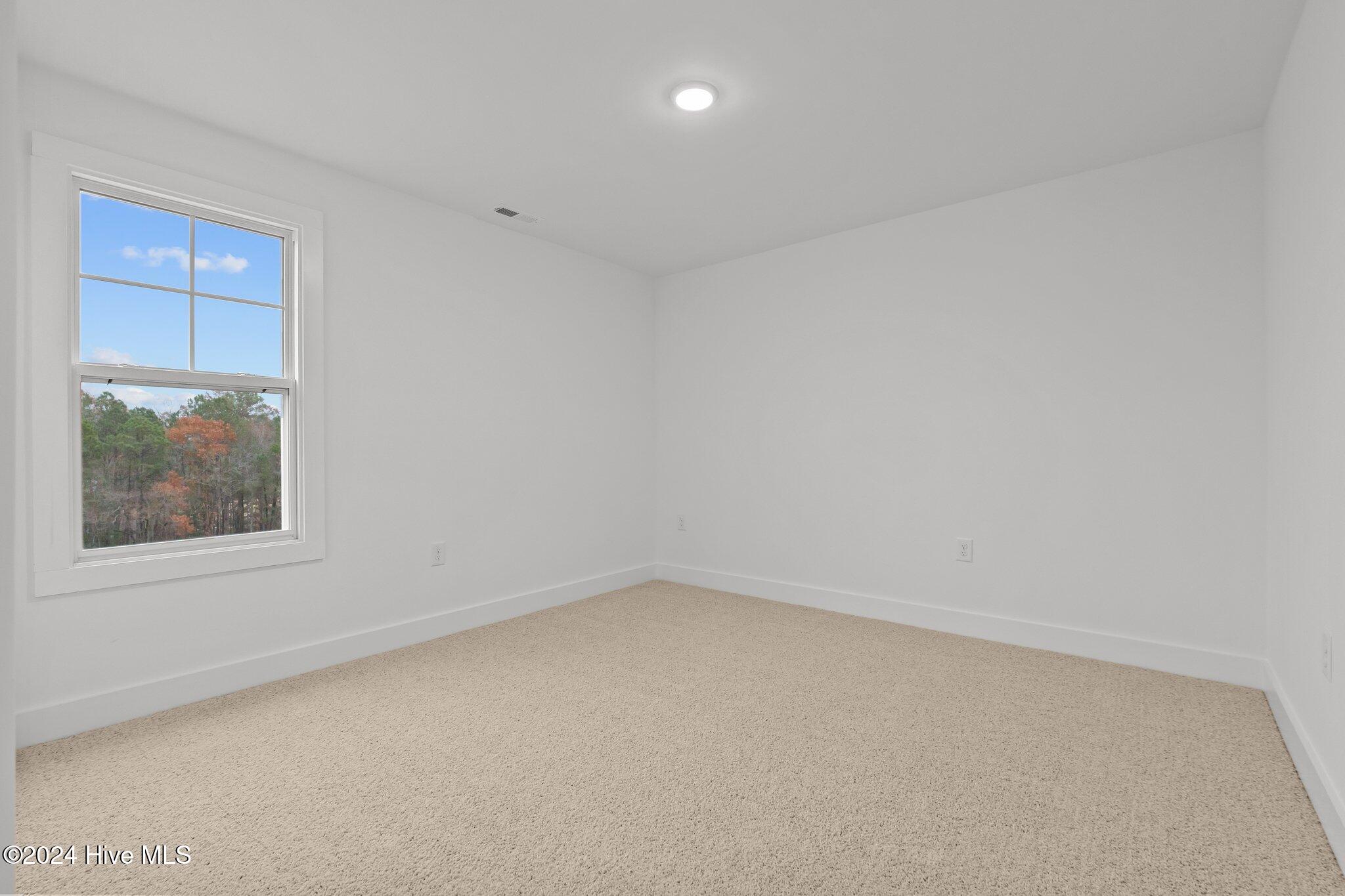 204 Grove Walk Road Raeford, NC 28376 - Photo 22 of 36 22-web-or-mls-707A9926