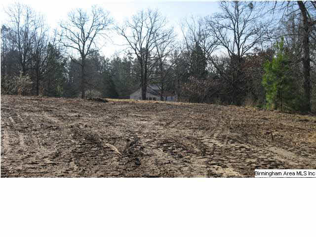 215 Horsley Road Remlap, AL 35133 - Photo 12 of 31 Gallery Image 12