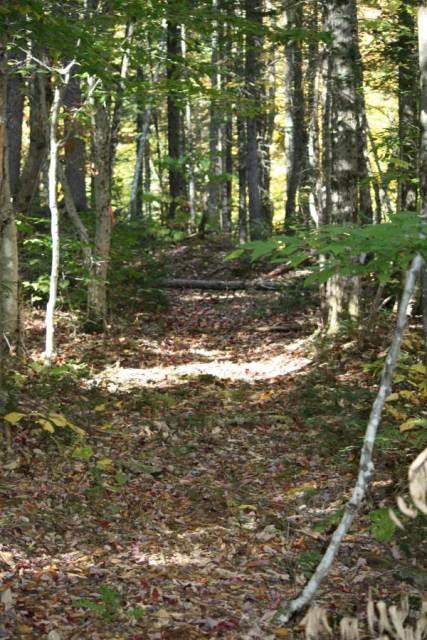 1 Pine Road Sandy River Plt, ME 04970 - Photo 14 of 21 Photo