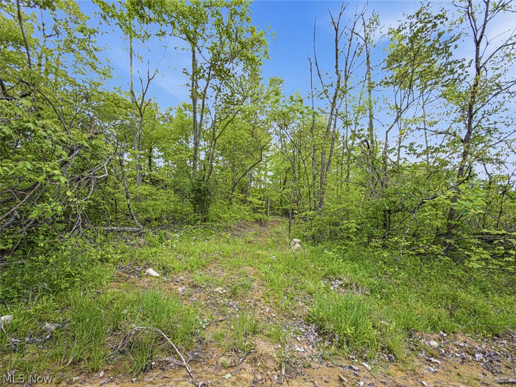 95-acres Newlon Road Malta, OH 43758 - Photo 11 of 18