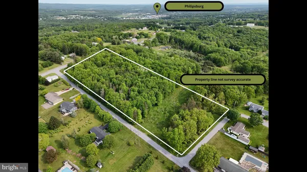 a view of a yard with plants