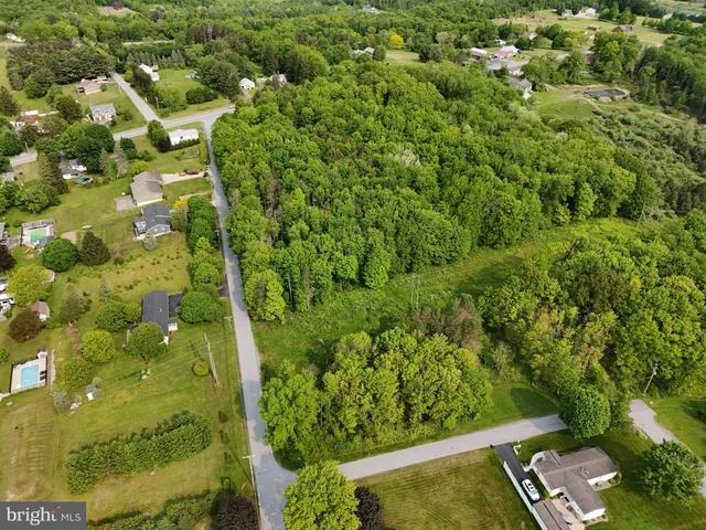 a view of a lush green forest