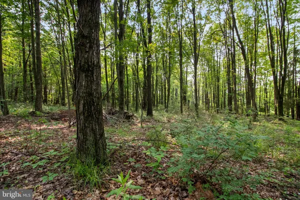 $185,000 | 0 Harris Street, Philipsburg, PA 16866