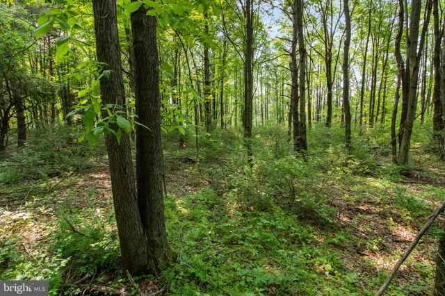 $185,000 | 0 Harris Street, Philipsburg, PA 16866