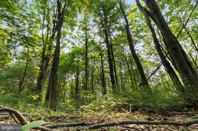 $185,000 | 0 Harris Street, Philipsburg, PA 16866