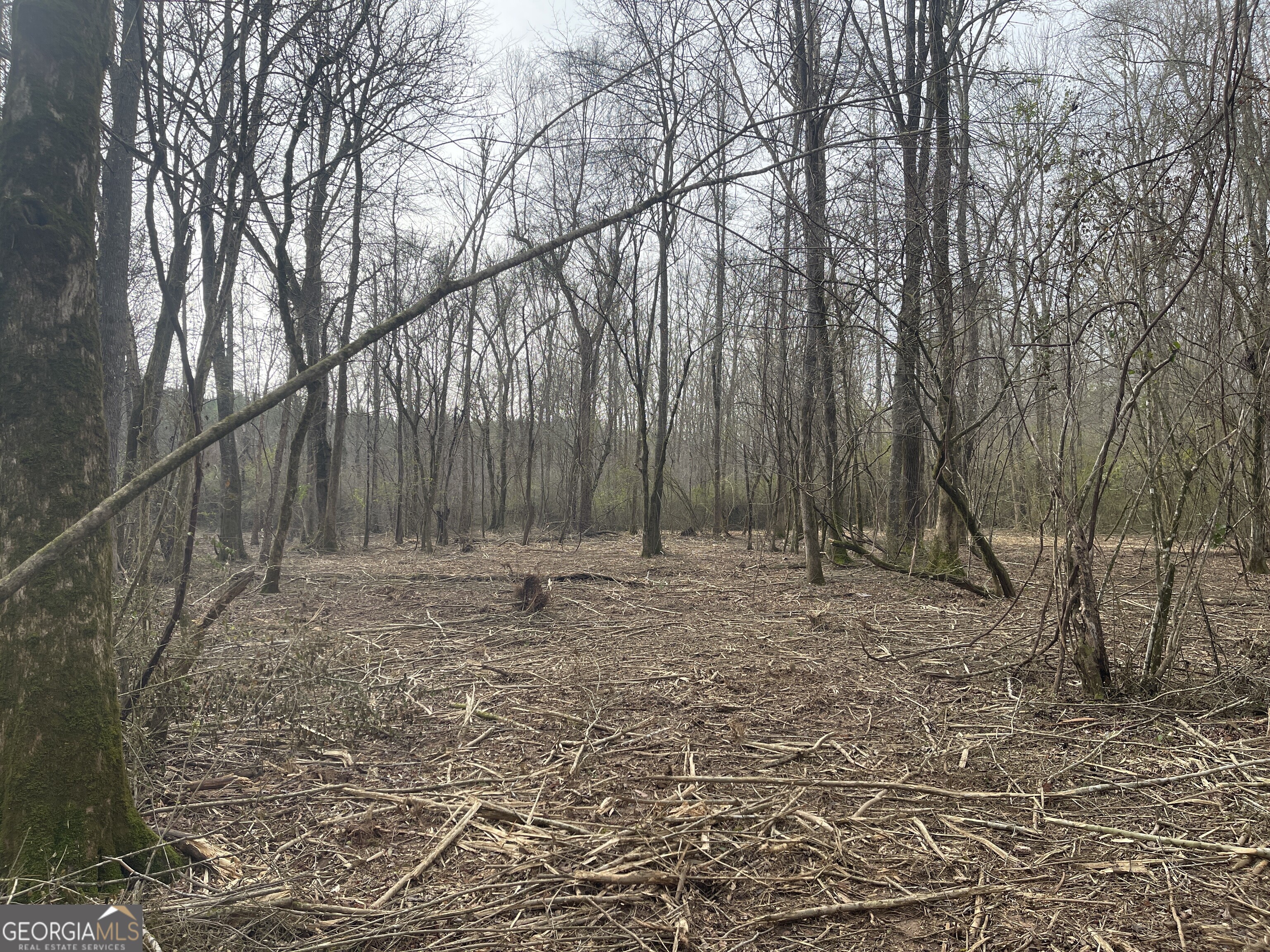 0 Bevis Road, Unit LOT 1 Franklin, GA 30217 - Photo 1 of 6 a view of a backyard with large trees