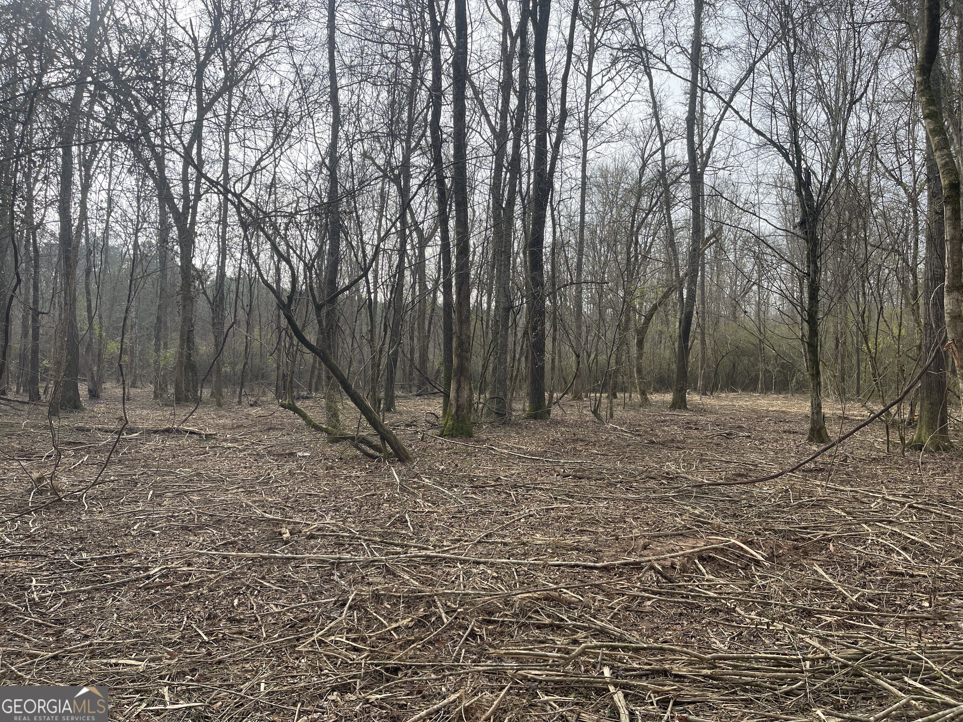 0 Bevis Road, Unit LOT 1 Franklin, GA 30217 - Photo 2 of 6 a view of a backyard with large trees