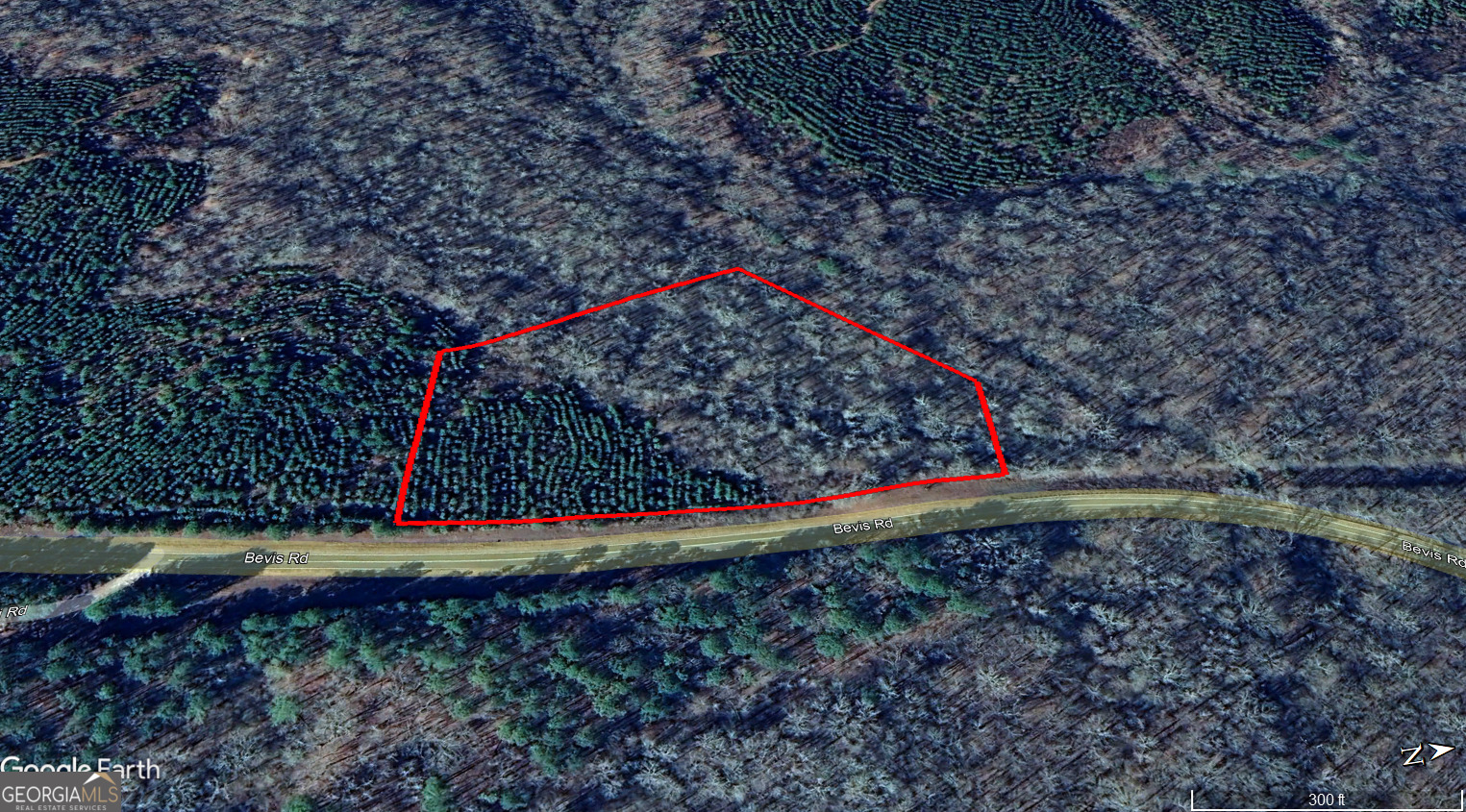 0 Bevis Road, Unit LOT 1 Franklin, GA 30217 - Photo 4 of 6