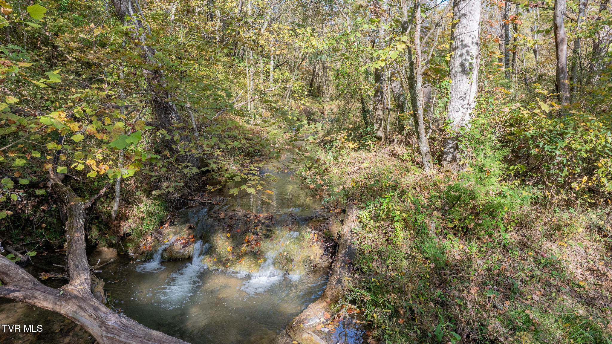 750 Gass Memorial Road Greeneville, TN 37745 - Photo 29 of 32 dji_fly_20251017_161042_0182_17609833107