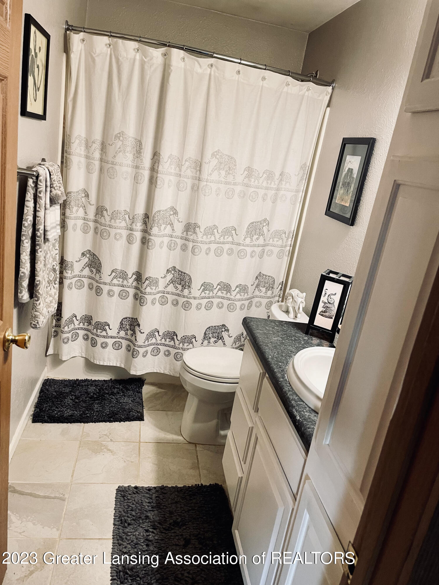 1540 South Canal Road Lansing, MI 48917 - Photo 21 of 37 Spare Bath good