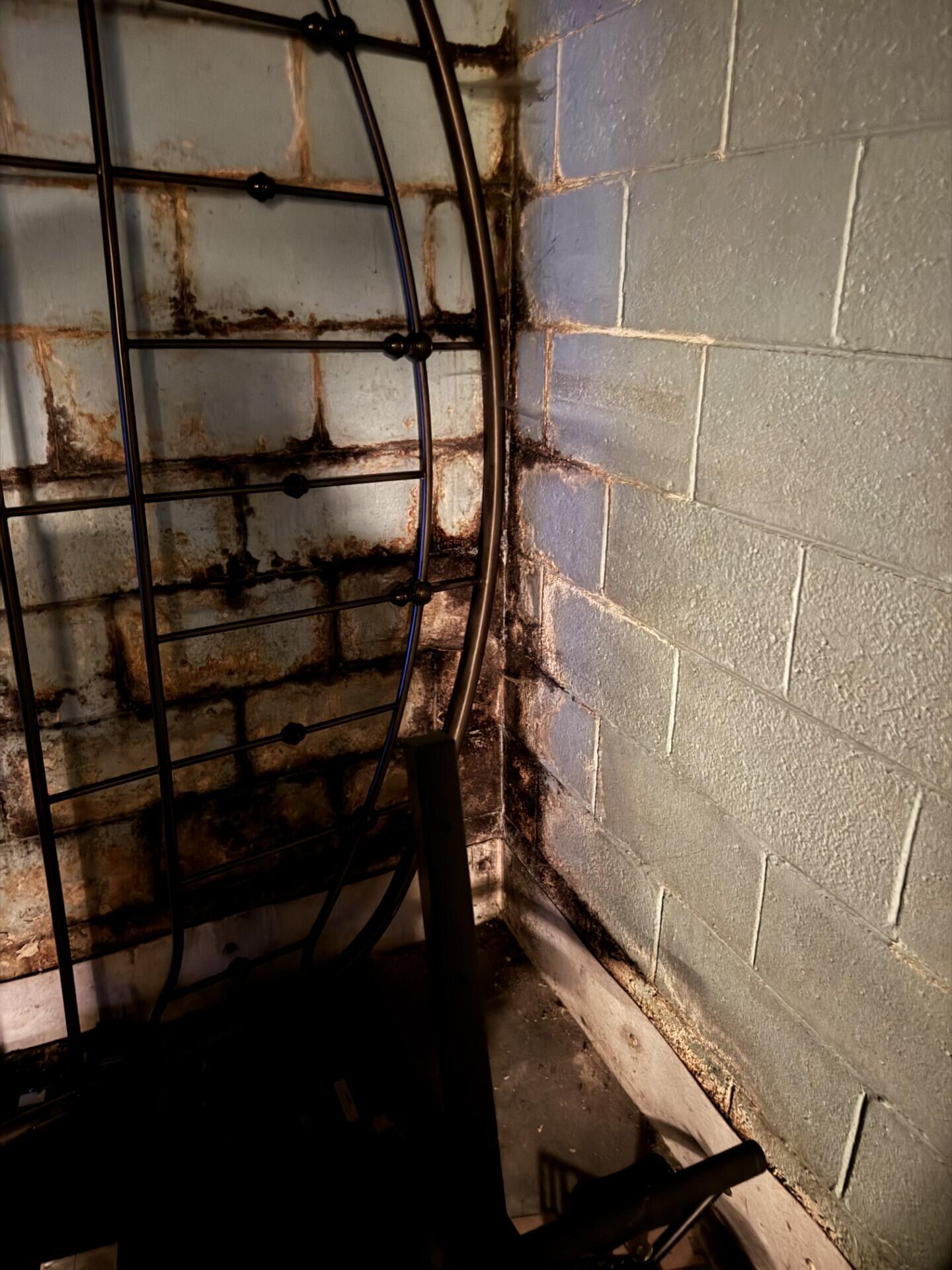 821 Saxony Drive Racine, WI 53402 - Photo 18 of 19 Corner Wall