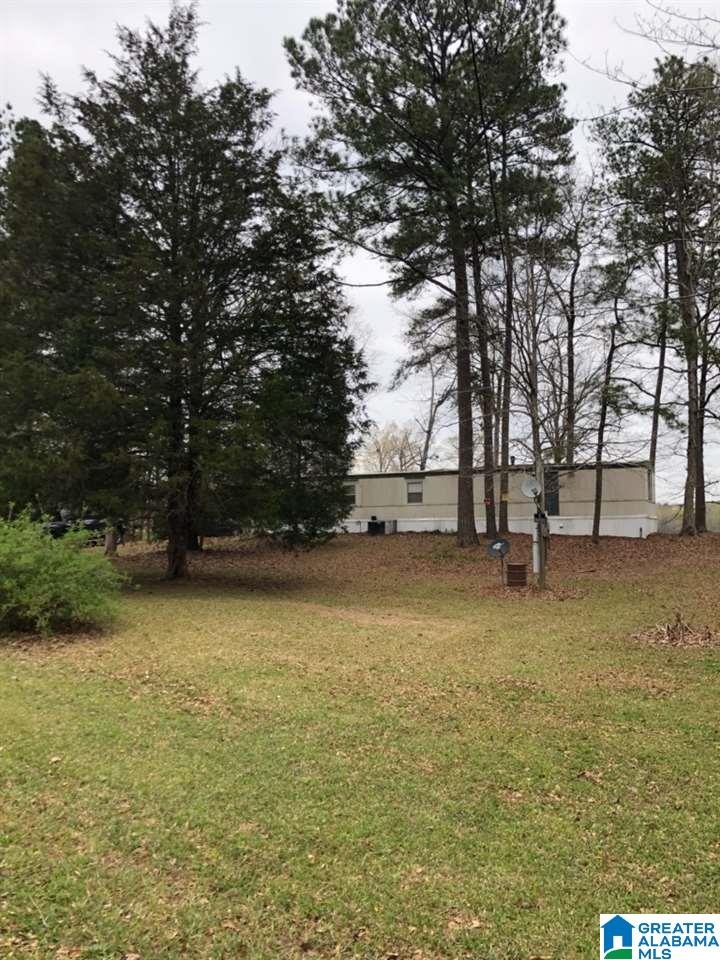 3982 River Ranch Road Ragland, AL 35131 - Photo 10 of 14