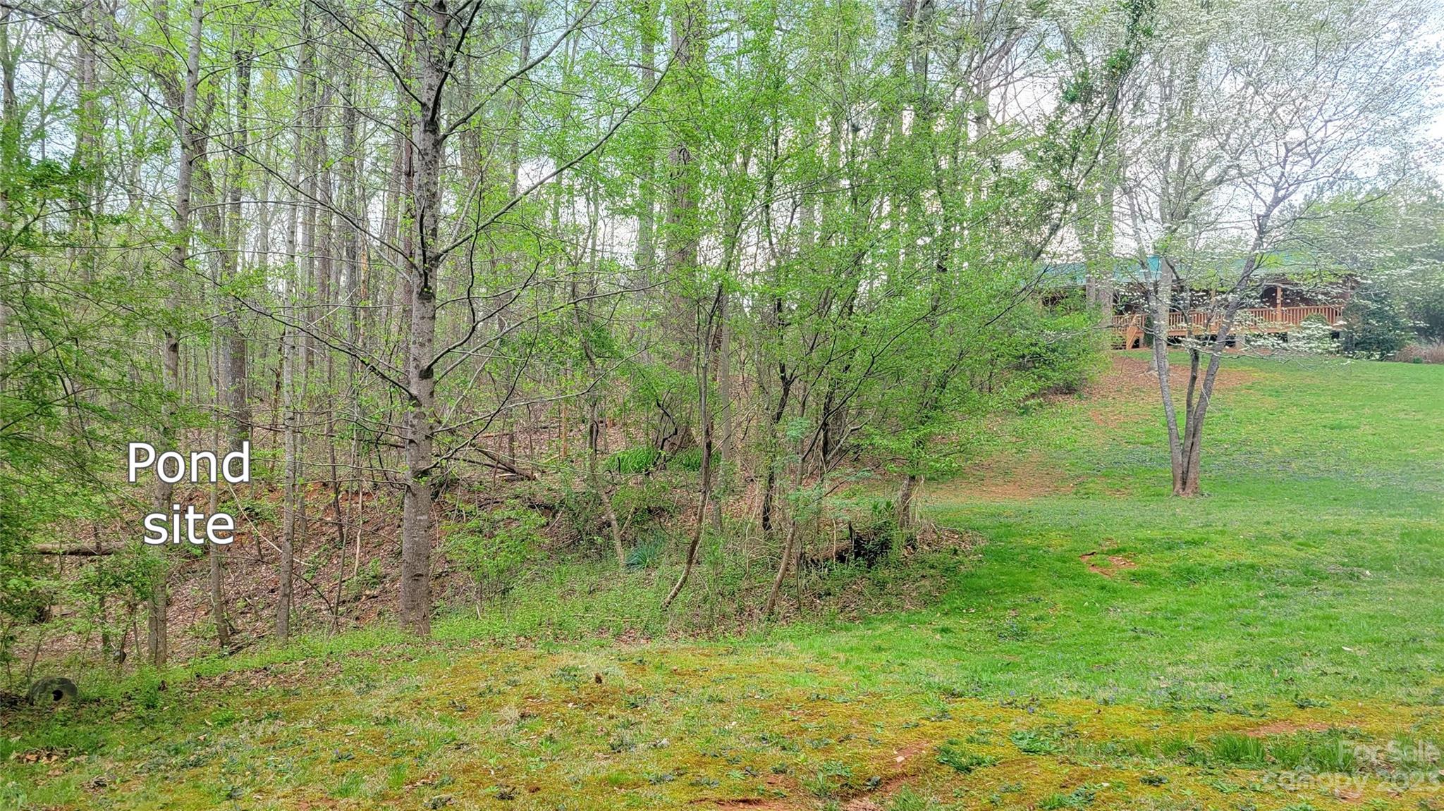 3300 Shell Hollar Road Claremont, NC 28610 - Photo 43 of 46 Gallery Image 43