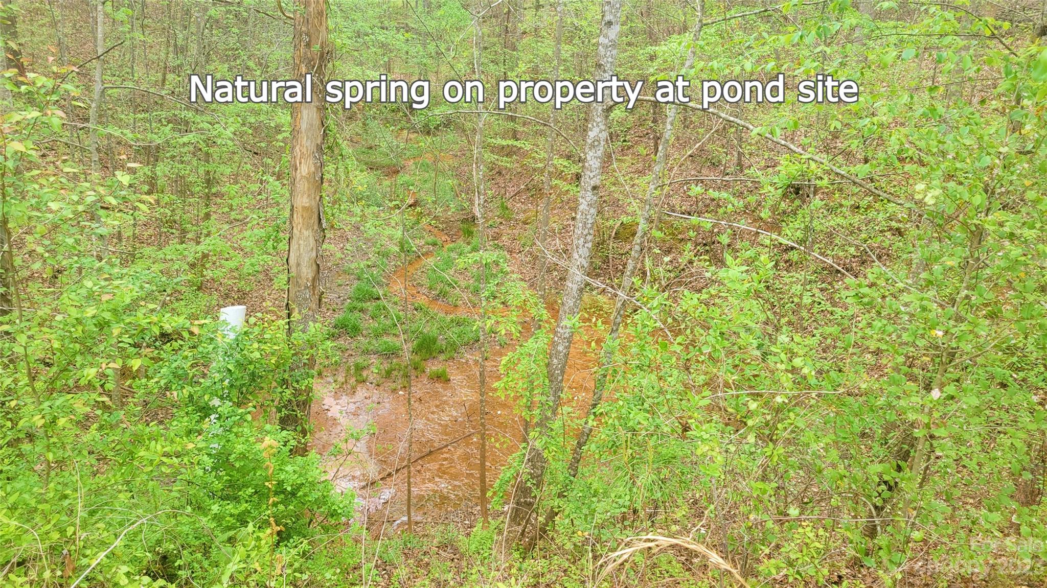 3300 Shell Hollar Road Claremont, NC 28610 - Photo 44 of 46 Gallery Image 44
