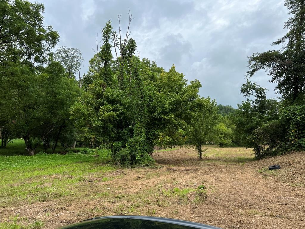4993 Bogard Road Cosby, TN 37722 - Photo 4 of 40