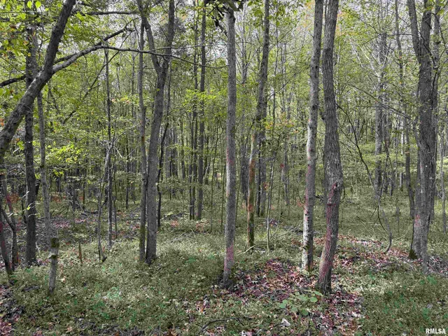 $279,900 | 0 North Shawnee Hills Road, Equality, IL 62934