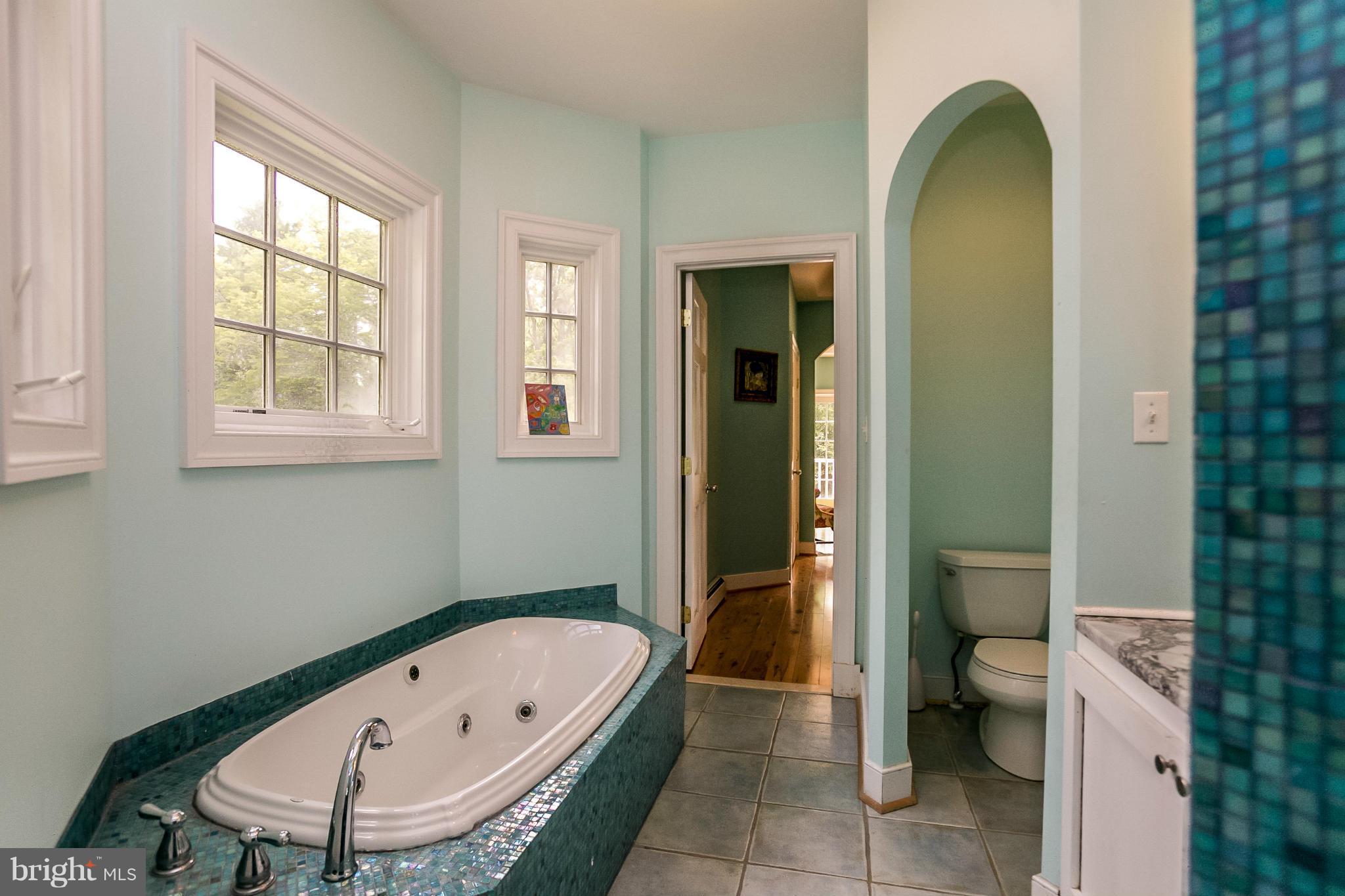 1500 Dunlora Road Baltimore, MD 21204 - Photo 16 of 30 MRBA with Separate Tub and Shower