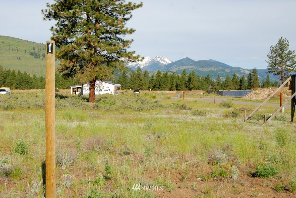 2 Horizon View Winthrop, WA 98862 - Photo 1 of 6 Gallery Image 1