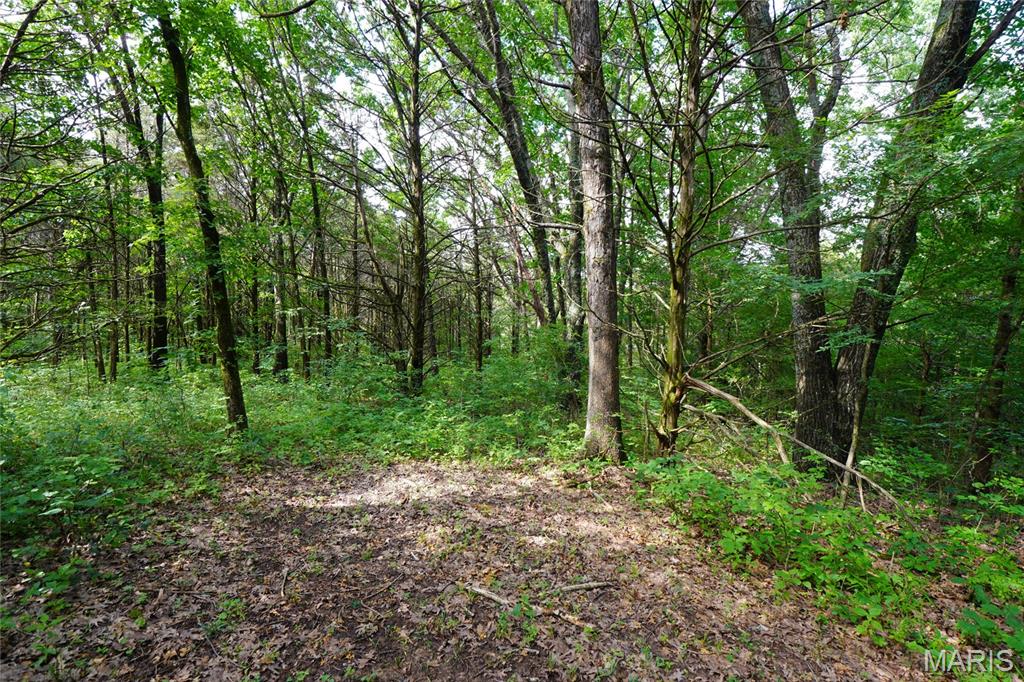 1971 Epple Road Hermann, MO 65041 - Photo 69 of 98